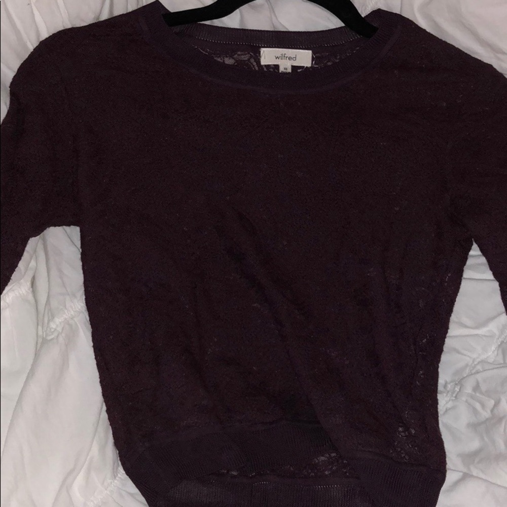 Maroon lace crop